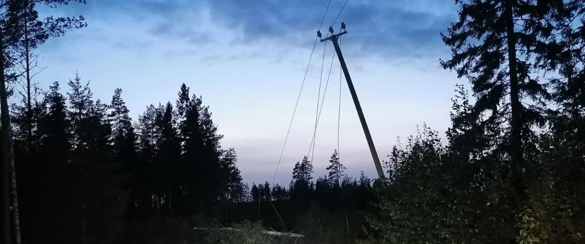 Tree on top of a power line