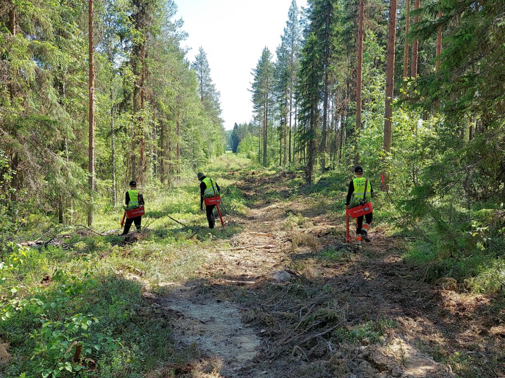 Istutuspuuhia Jämsässä johtokadulla